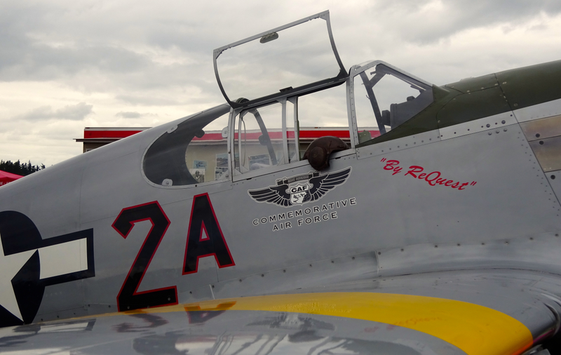 Illustration for article titled EAA Fly In - Arlington WA
